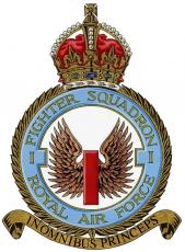 Number 1 (Fighter) Squadron Association launches its new website